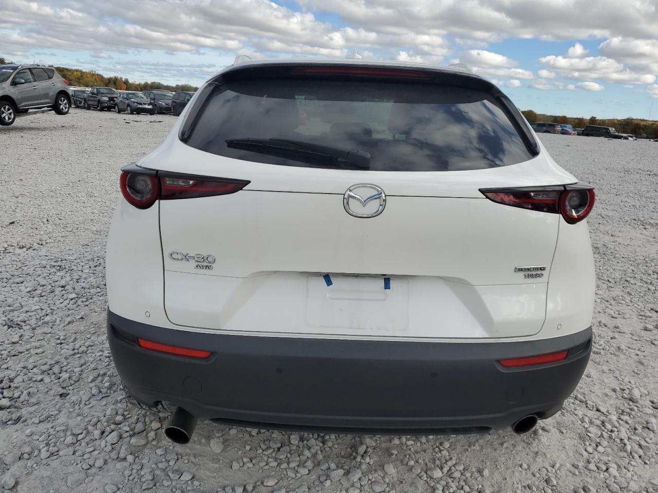 2023 MAZDA CX-30 PREMIUM PLUS VIN:3MVDMBEY8PM588638