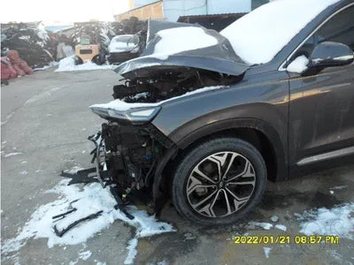 2019 Hyundai Santa FE KMHS381CDKU010058 VIN:KMHS381CDKU010058