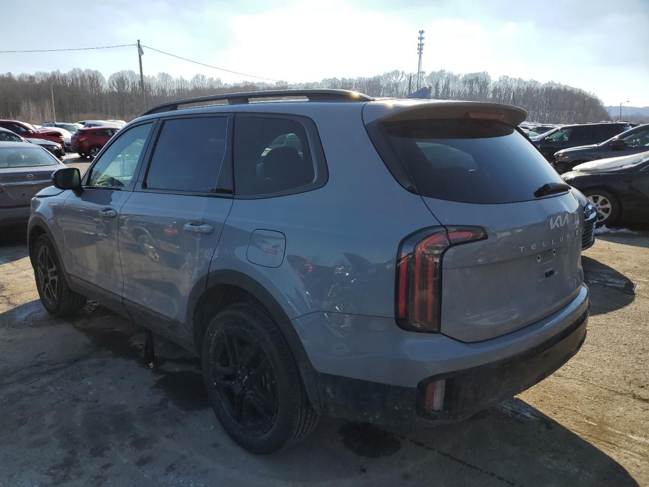 2024 KIA TELLURIDE EX VIN:5XYP3DGC4RG542755