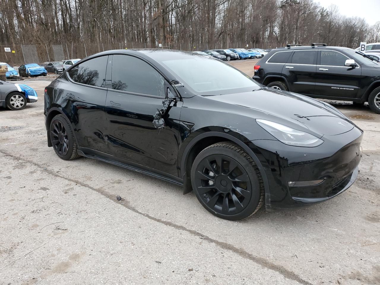 2023 TESLA MODEL Y  VIN:7SAYGAEE7PF786600