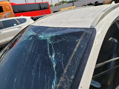 2019 Hyundai Santa FE KMHS281BBKU158997 VIN:KMHS281BBKU158997