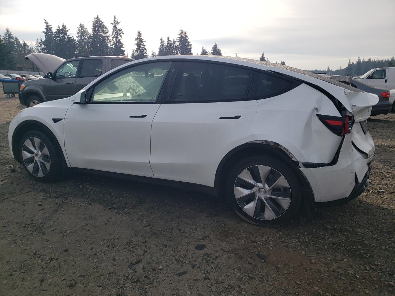 2023 TESLA MODEL Y  VIN:7SAYGDEE9PF623156