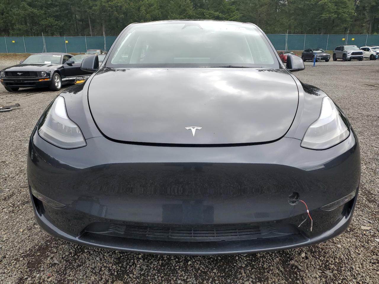 2024 TESLA MODEL Y  VIN:7SAYGDEE3RF072919