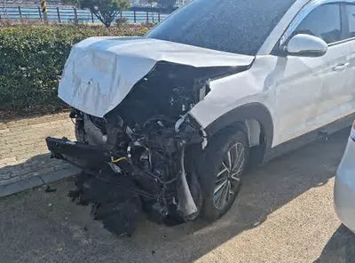 2020 Hyundai Tucson KMHJ2812GLU281350 VIN:KMHJ2812GLU281350