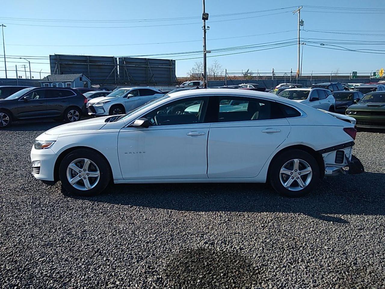 2023 CHEVROLET MALIBU LS VIN:1G1ZC5ST3PF157699