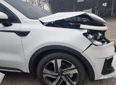 2023 Kia Sorento KNARJ81GBPA204006 VIN:KNARJ81GBPA204006