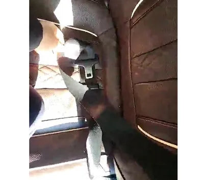 2020 BMW 520 WBAJF3105LWW73139 VIN:WBAJF3105LWW73139