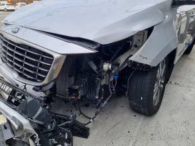 2019 Kia Carnival KNAMB81ABLS621274 VIN:KNAMB81ABLS621274