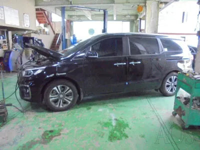 2020 Kia Carnival KNAMB81ABLS651655 VIN:KNAMB81ABLS651655