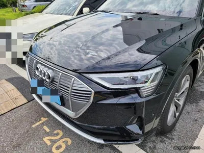 2020 Audi e-tron WAUZZZGE1LB031508 VIN:WAUZZZGE1LB031508