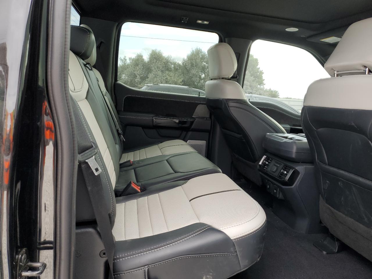 2023 FORD F150 LIGHTNING PRO VIN:1FT6W1EV2PWG18317