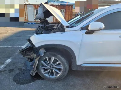 2020 Hyundai Santa FE KMHS281BBLU295510 VIN:KMHS281BBLU295510