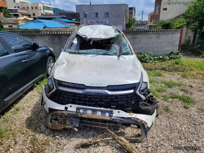 2022 Kia Sportage KNAPX81GBNK007928 VIN:KNAPX81GBNK007928