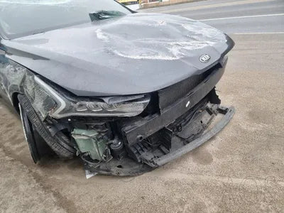 2020 Kia K5 KNAG741BBLA012730 VIN:KNAG741BBLA012730