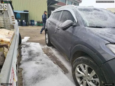 2020 Hyundai Tucson KMHJ3812HLU230189 VIN:KMHJ3812HLU230189