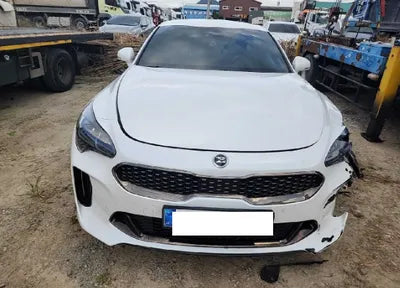 2019 Kia Stinger KNAE651BDKS045522 VIN:KNAE651BDKS045522