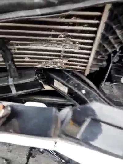 2015 Mercedes-Benz ML 250 WDCDA0EB7FA570955 VIN:WDCDA0EB7FA570955