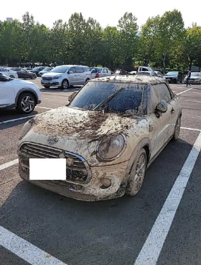2019 MINI Cooper WMWWG5105K3F53617 VIN:WMWWG5105K3F53617
