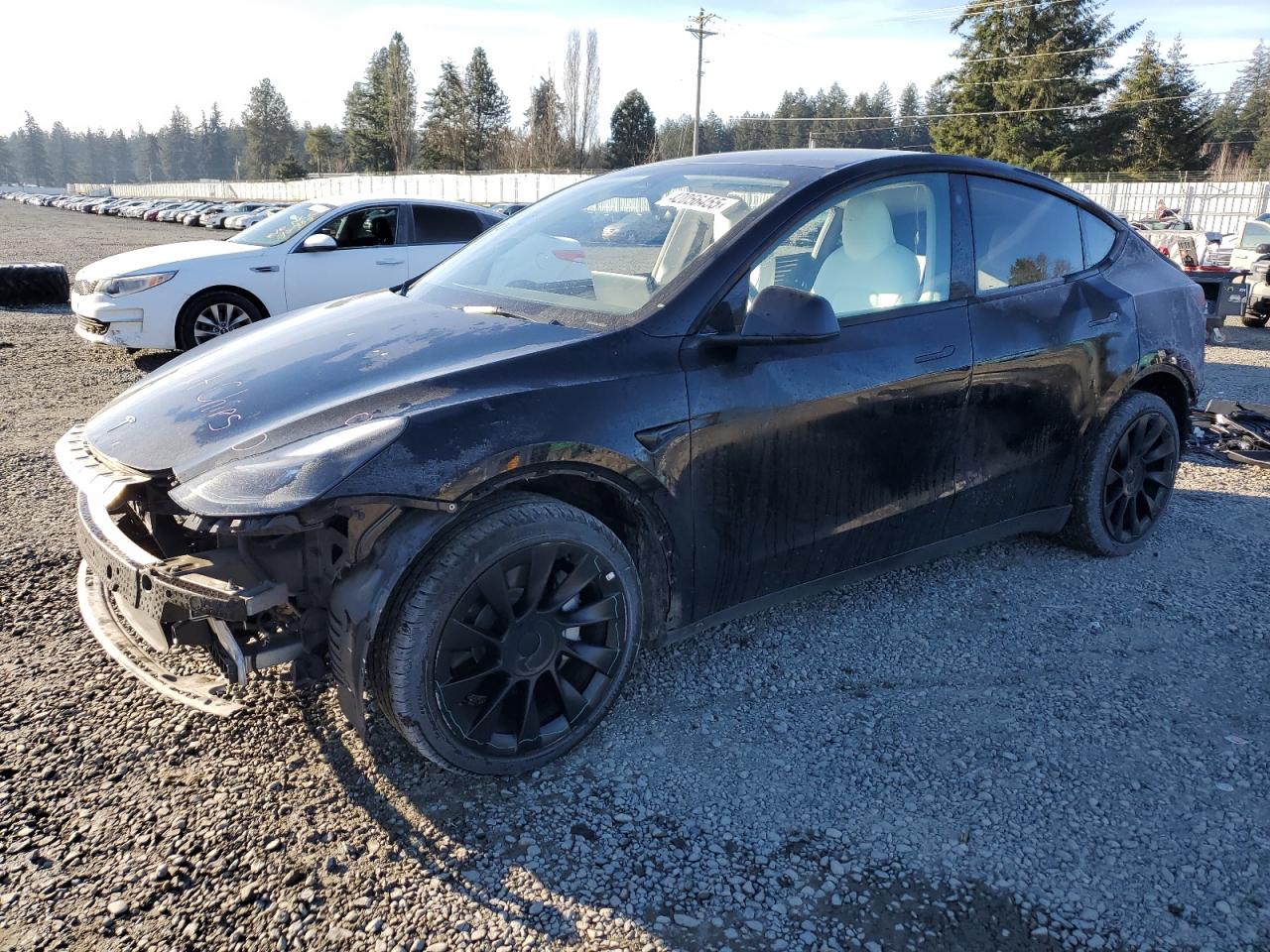 2023 TESLA MODEL Y  VIN:7SAYGDEE0PF625510
