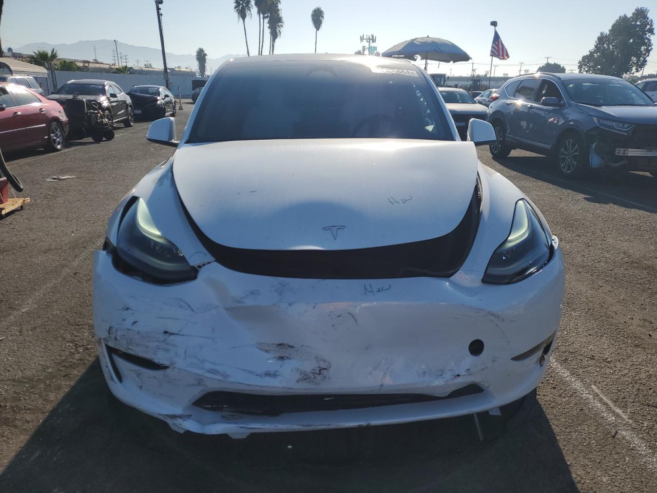 2024 TESLA MODEL Y  VIN:7SAYGDEF6RF133012