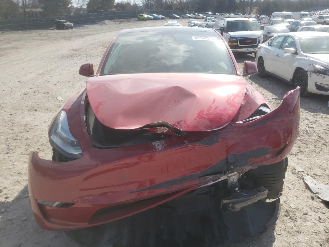 2023 TESLA MODEL Y  VIN:7SAYGDEE7PA158938