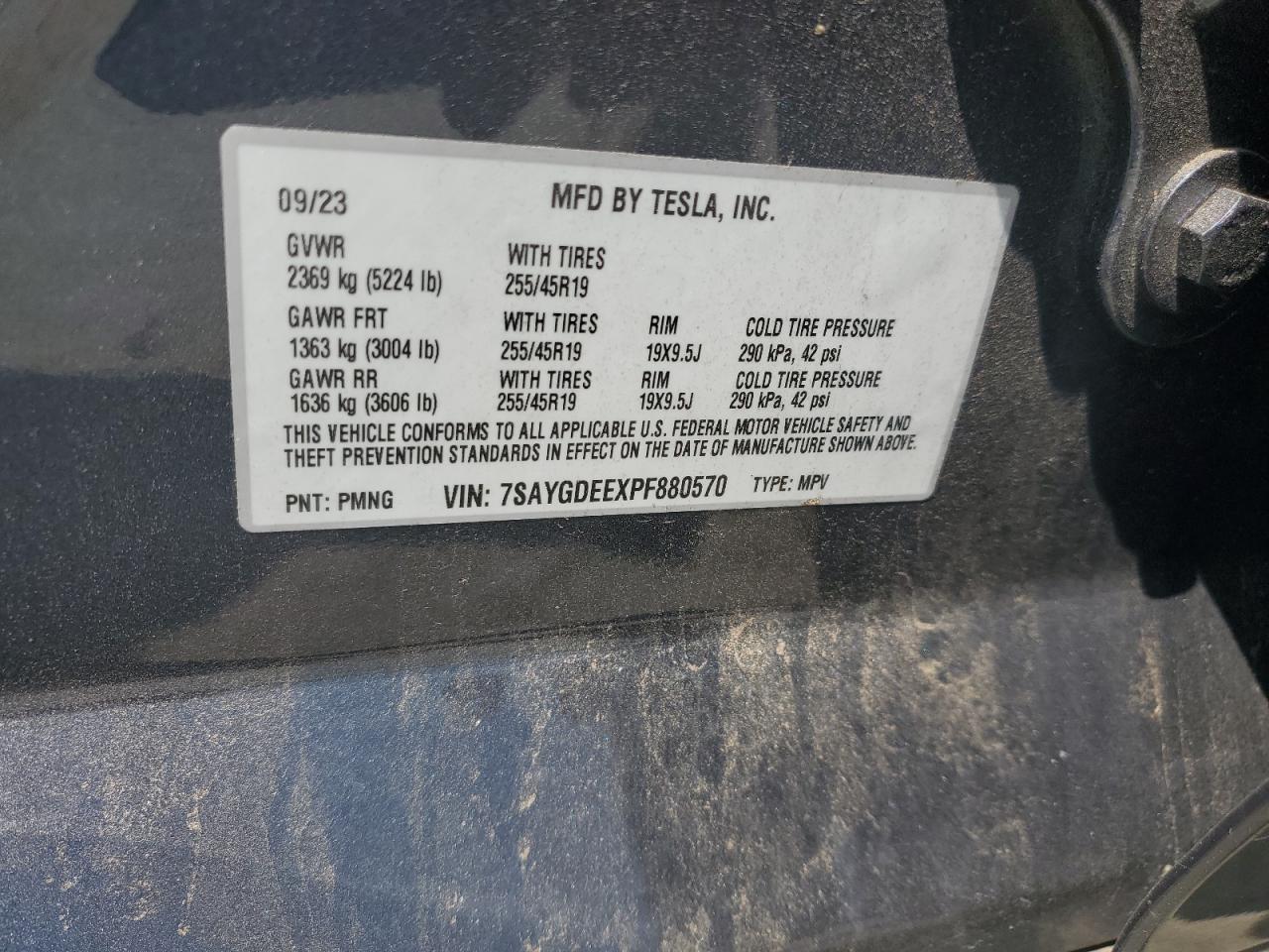 2023 TESLA MODEL Y  VIN:7SAYGDEEXPF880570