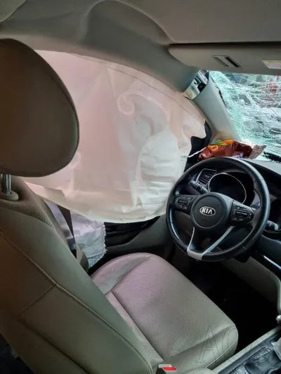 2019 Kia Carnival KNAMB81ABKS472953 VIN:KNAMB81ABKS472953