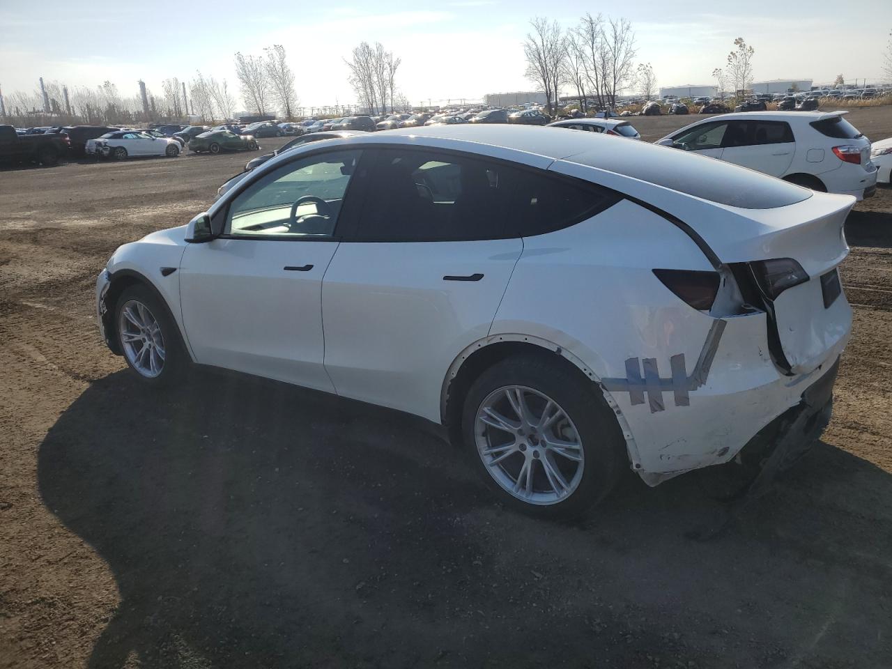 2024 TESLA MODEL Y  VIN:7SAYGDEE0RF055642