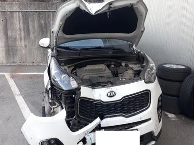 2016 Kia Sportage KNAPR813DGK006061 VIN:KNAPR813DGK006061