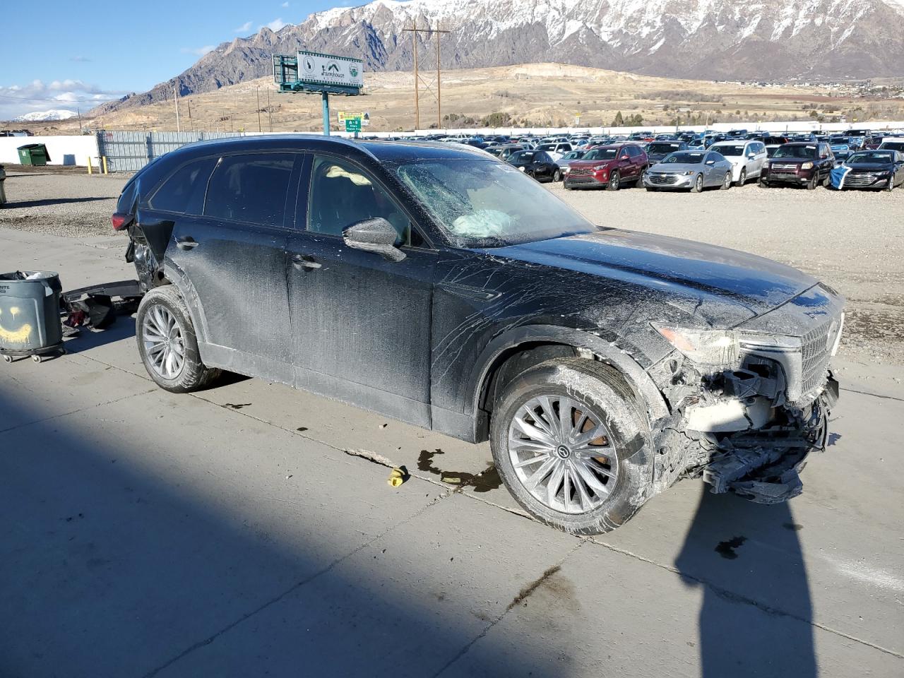 2024 MAZDA CX-90 PREFERRED PLUS VIN:JM3KKCHD8R1123491