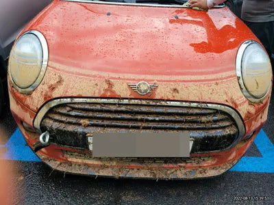 2021 MINI Cooper WMWXV7101M2N49768 VIN:WMWXV7101M2N49768