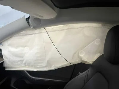 2021 Tesla Model 3 VIN: