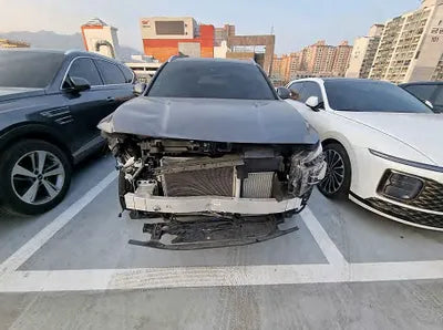 2021 Hyundai Santa FE KMHS381LGMU412456 VIN:KMHS381LGMU412456