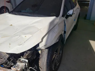 2021 Hyundai Santa FE KMHS281HGMU398339 VIN:KMHS281HGMU398339