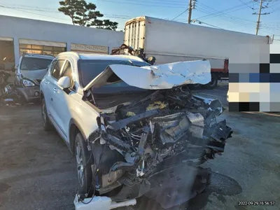 2020 Hyundai Santa FE KMHS281BBLU295510 VIN:KMHS281BBLU295510