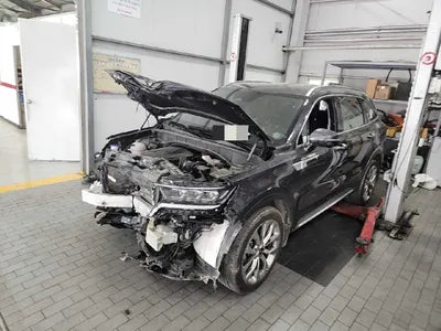 2021 Kia Sorento KNARK81BGMA092596 VIN:KNARK81BGMA092596