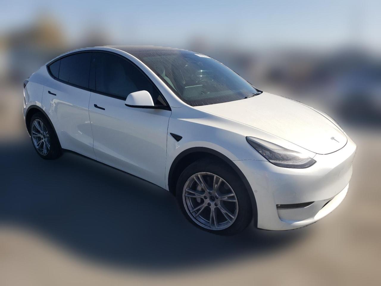 2022 TESLA MODEL Y  VIN:7SAYGDEE4NF392020