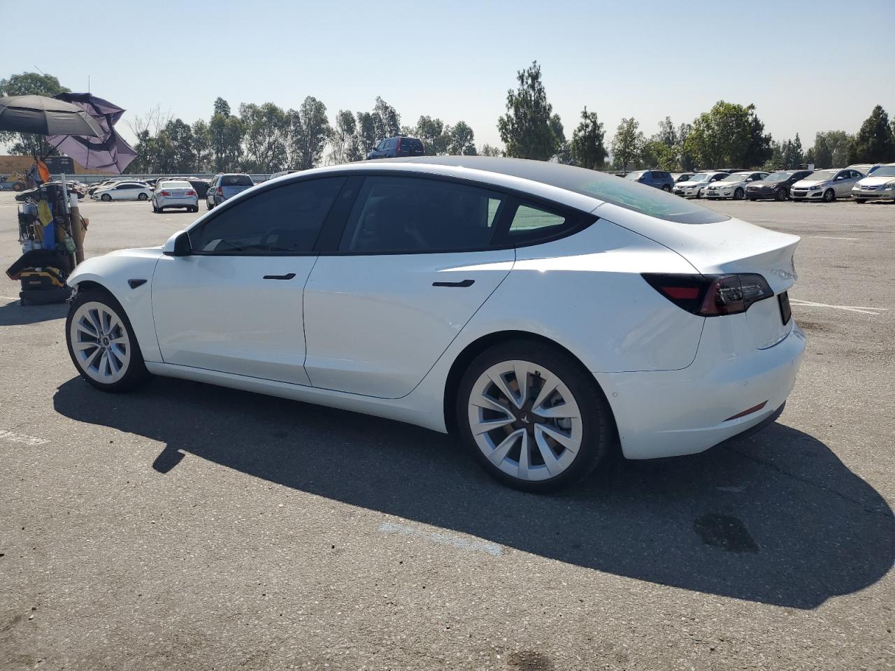 2022 TESLA MODEL 3  VIN:5YJ3E1EBXNF339064