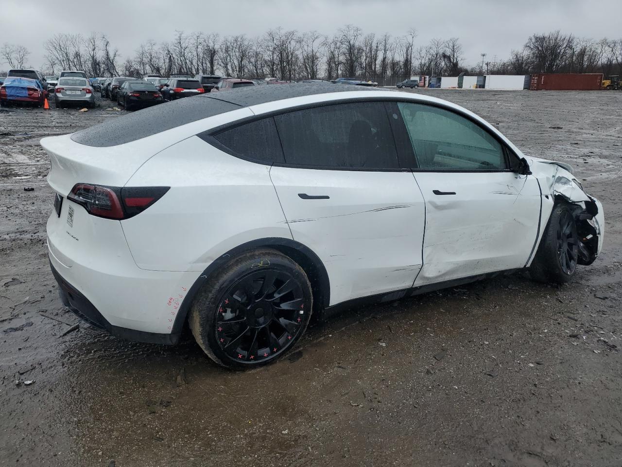 2022 TESLA MODEL Y  VIN:7SAYGAEE1NF431788