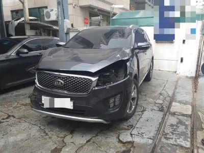 2016 Kia Sorento KNAPS81ABGA263192 VIN:KNAPS81ABGA263192