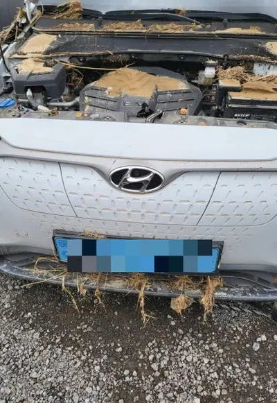 2020 Hyundai Kona VIN: