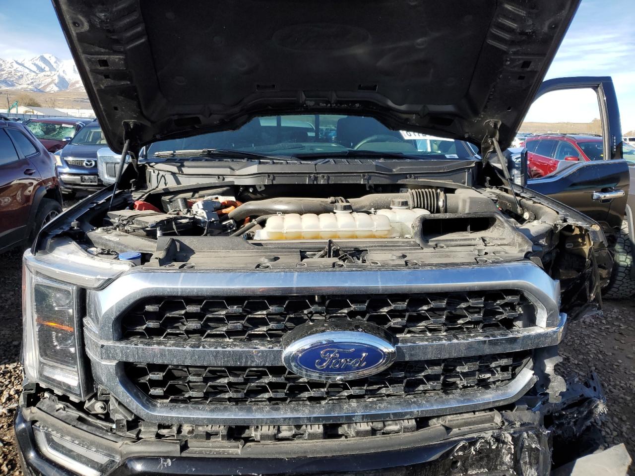 2023 FORD F150 SUPERCREW VIN:1FTFW1ED5PFC15777