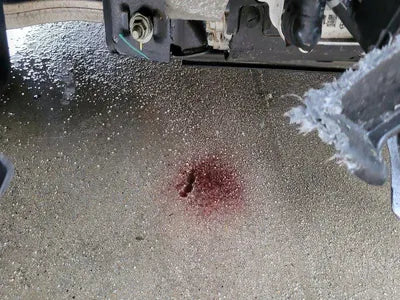 2023 Hyundai Ioniq KMHM241AFPA002125 VIN:KMHM241AFPA002125