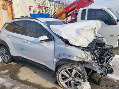 2019 Hyundai Kona KMHK4815GKU401737 VIN:KMHK4815GKU401737