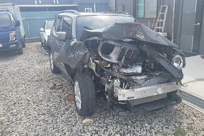 2021 Jeep Renegade 1C4NJCDB9MPN17715 VIN:1C4NJCDB9MPN17715