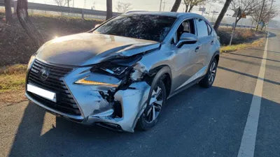 2019 Lexus NX 300 JTJDJRDZ5L2128686 VIN:JTJDJRDZ5L2128686