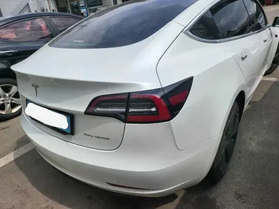 2020 Tesla Model 3 5YJ3E1EB3LF756250 VIN:5YJ3E1EB3LF756250