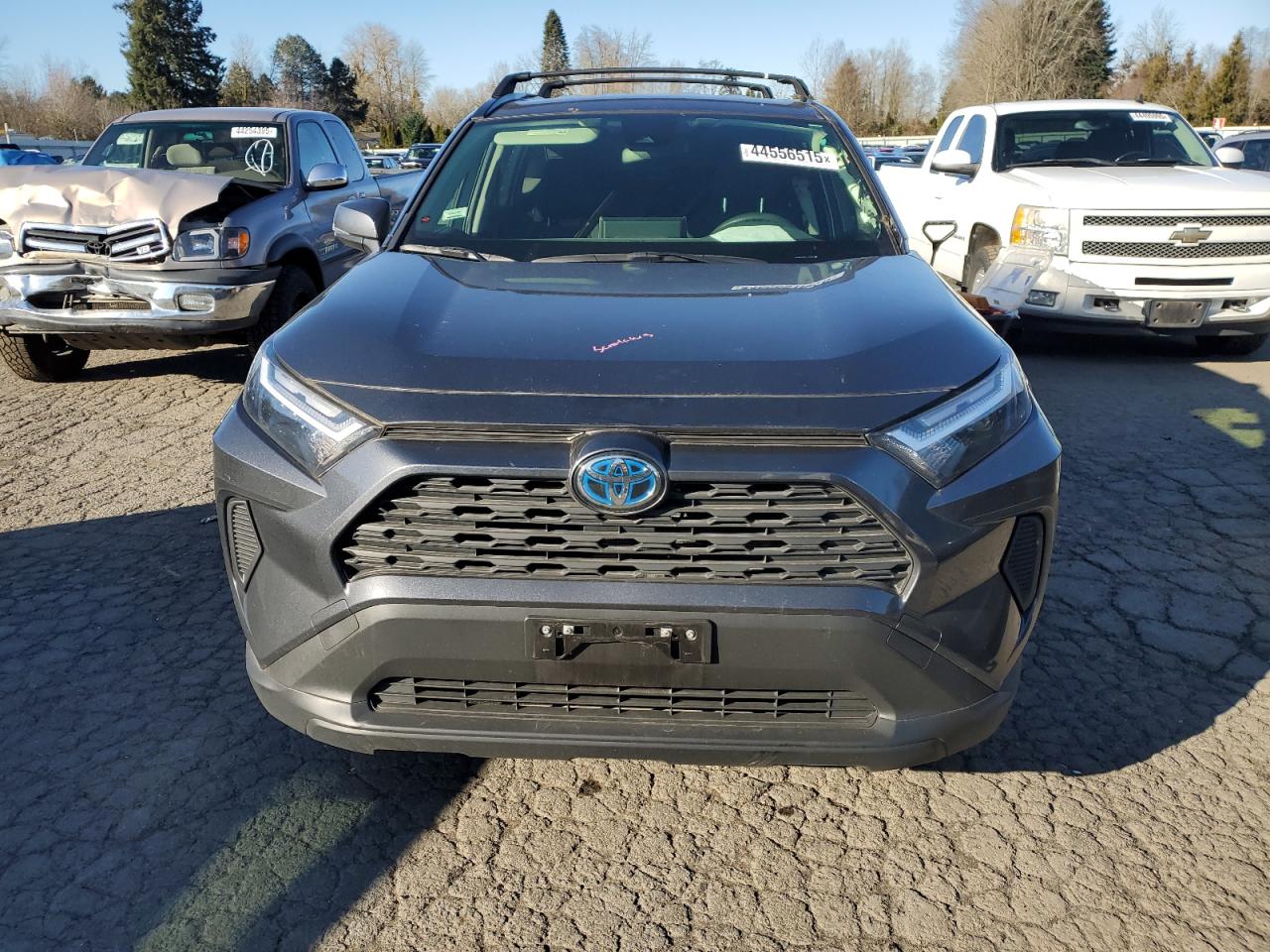 2023 TOYOTA RAV4 LE VIN:JTMMWRFV2PD176848