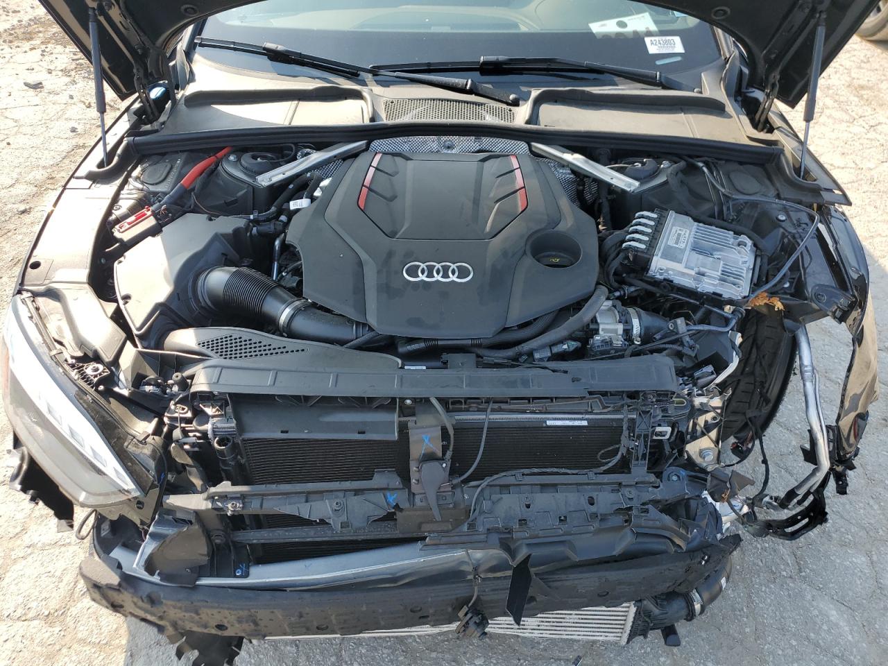 2024 AUDI S5 PREMIUM PLUS VIN:WAUC4CF50RA017567