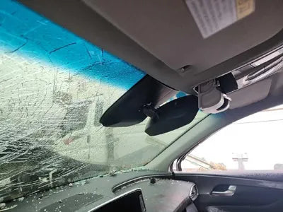 2019 Hyundai Santa FE 2KMHS381BBKU07648 VIN:2KMHS381BBKU07648